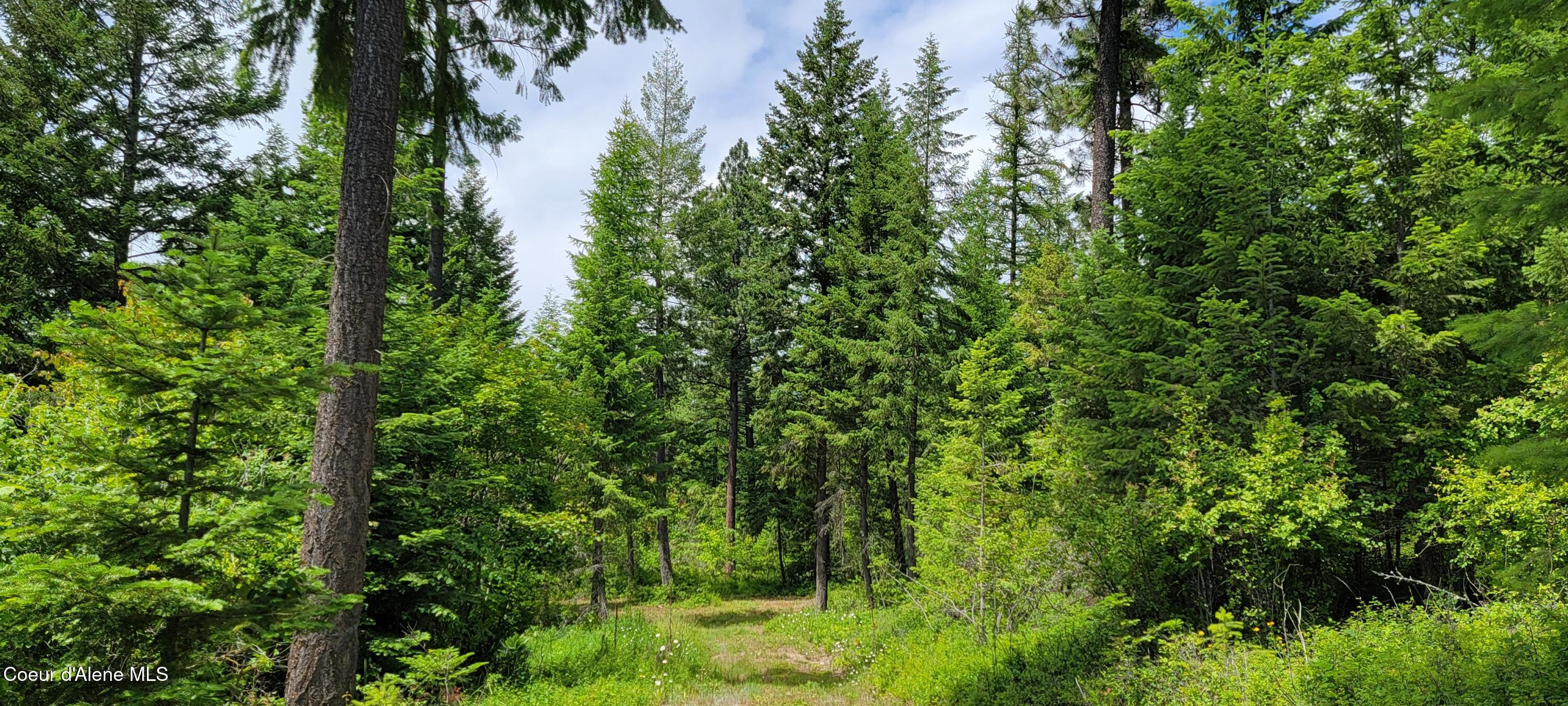 Image 3: 20240619_133511