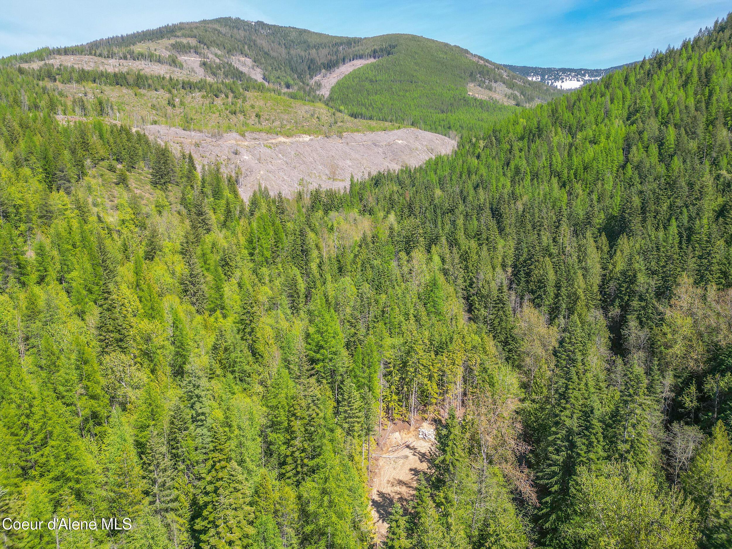 Image 1: dji_0525