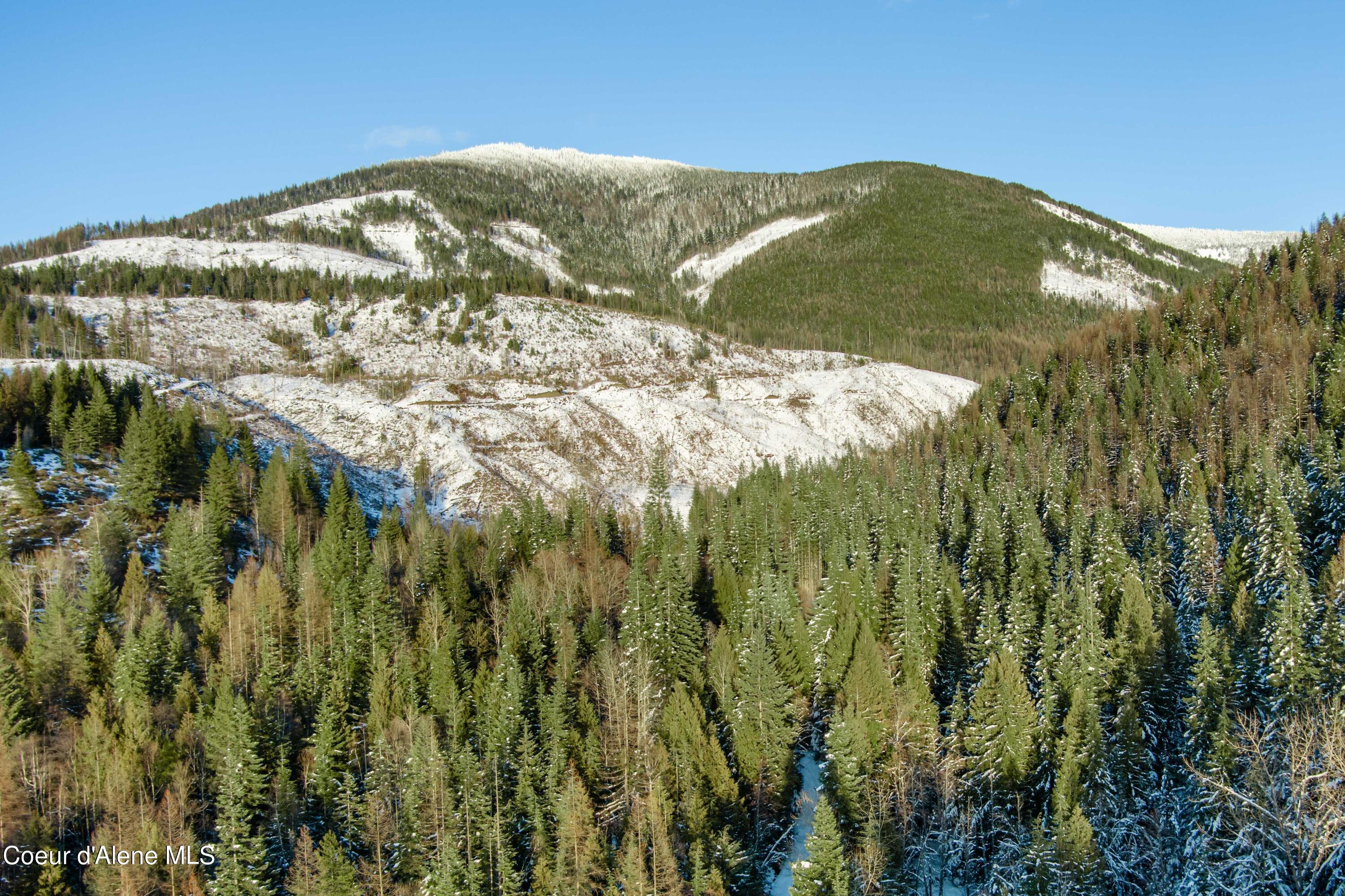 Image 2: TrapperCreek-11