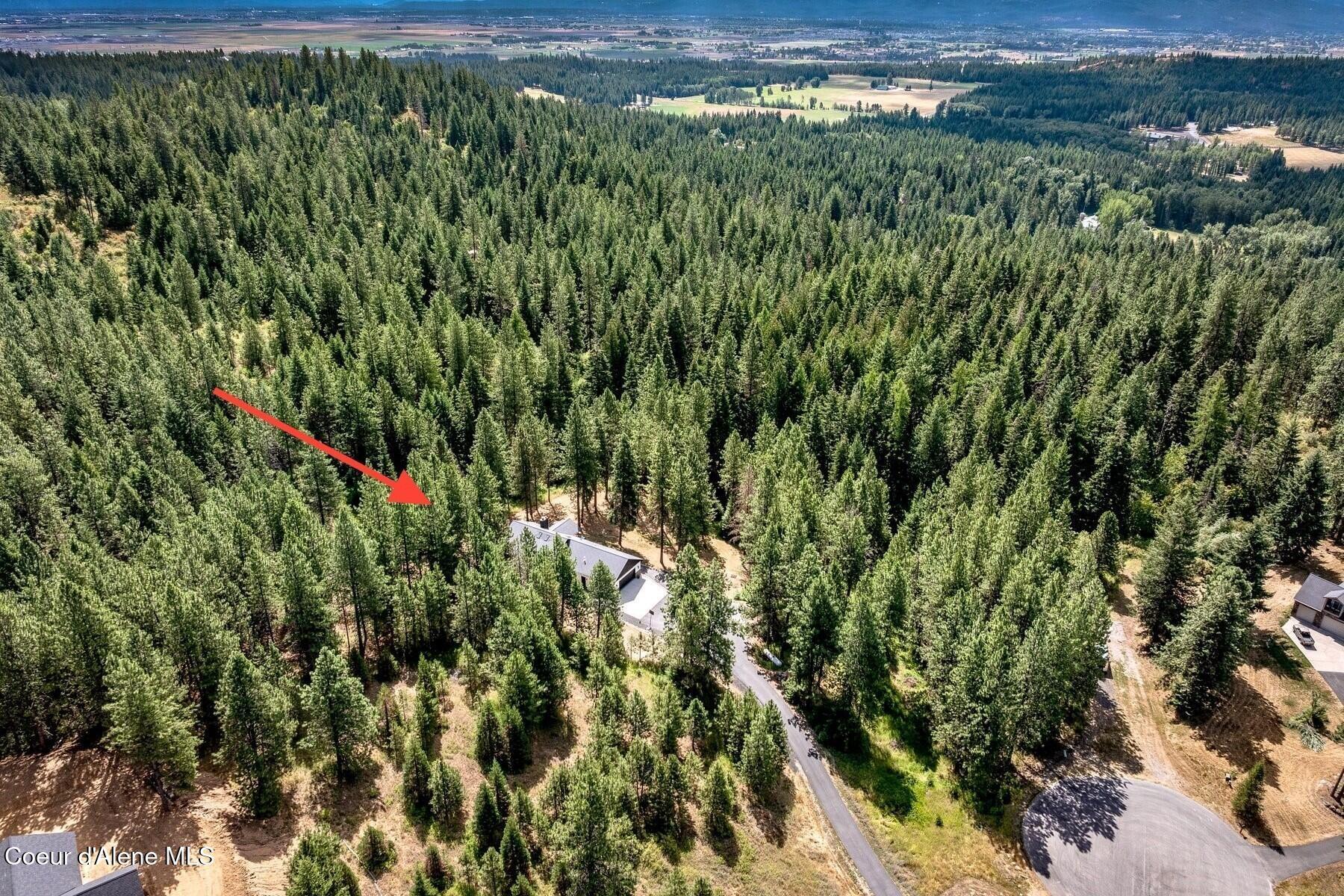 Image 4: The forest awaits