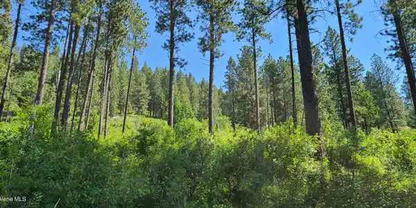 Image 3: 20210603_100605
