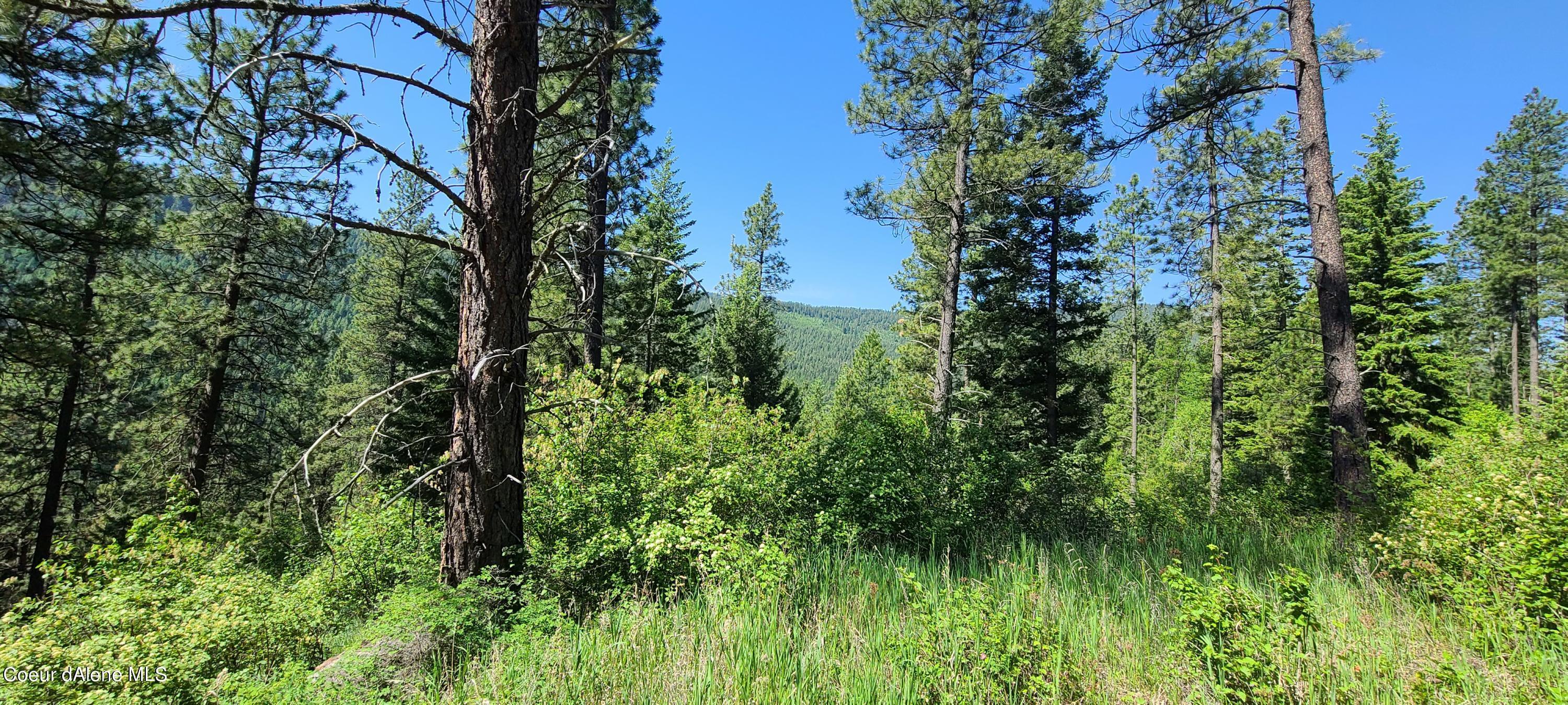 Image 4: 20210603_100908