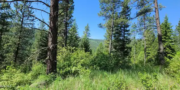 Image 4: 20210603_100908