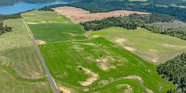 Image 3: Aerial