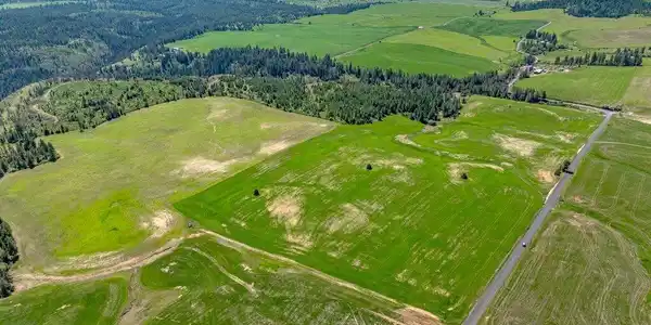 Image 4: Aerial