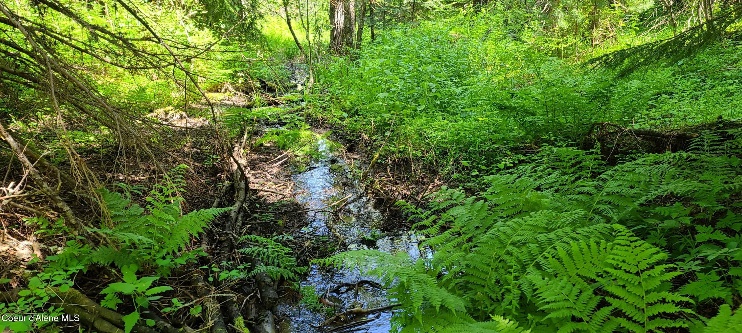 Image 3: 20210608_111729