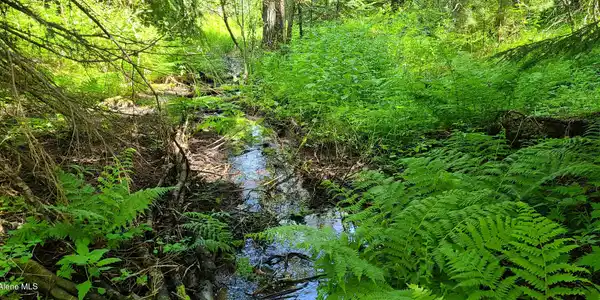 Image 3: 20210608_111729