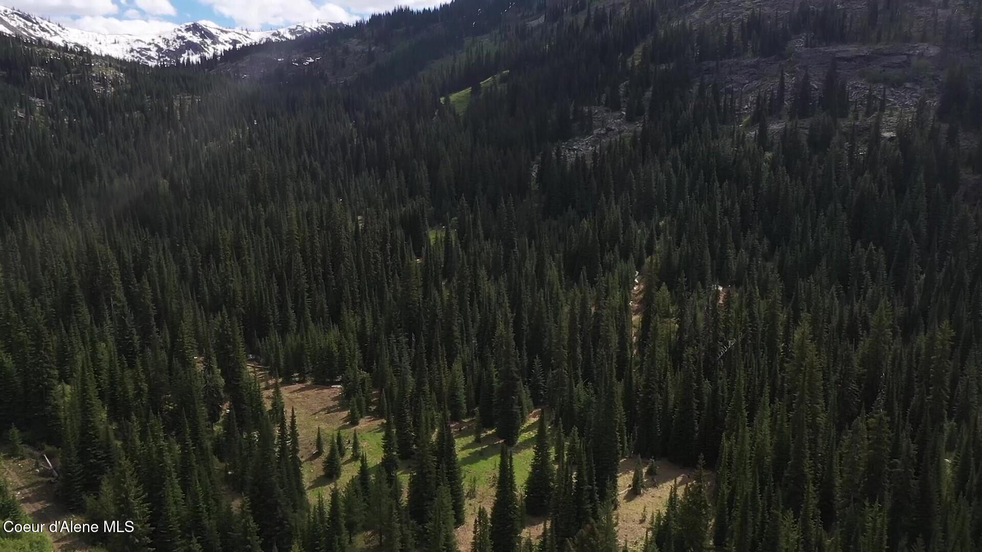 Image 1: Video Pic 6