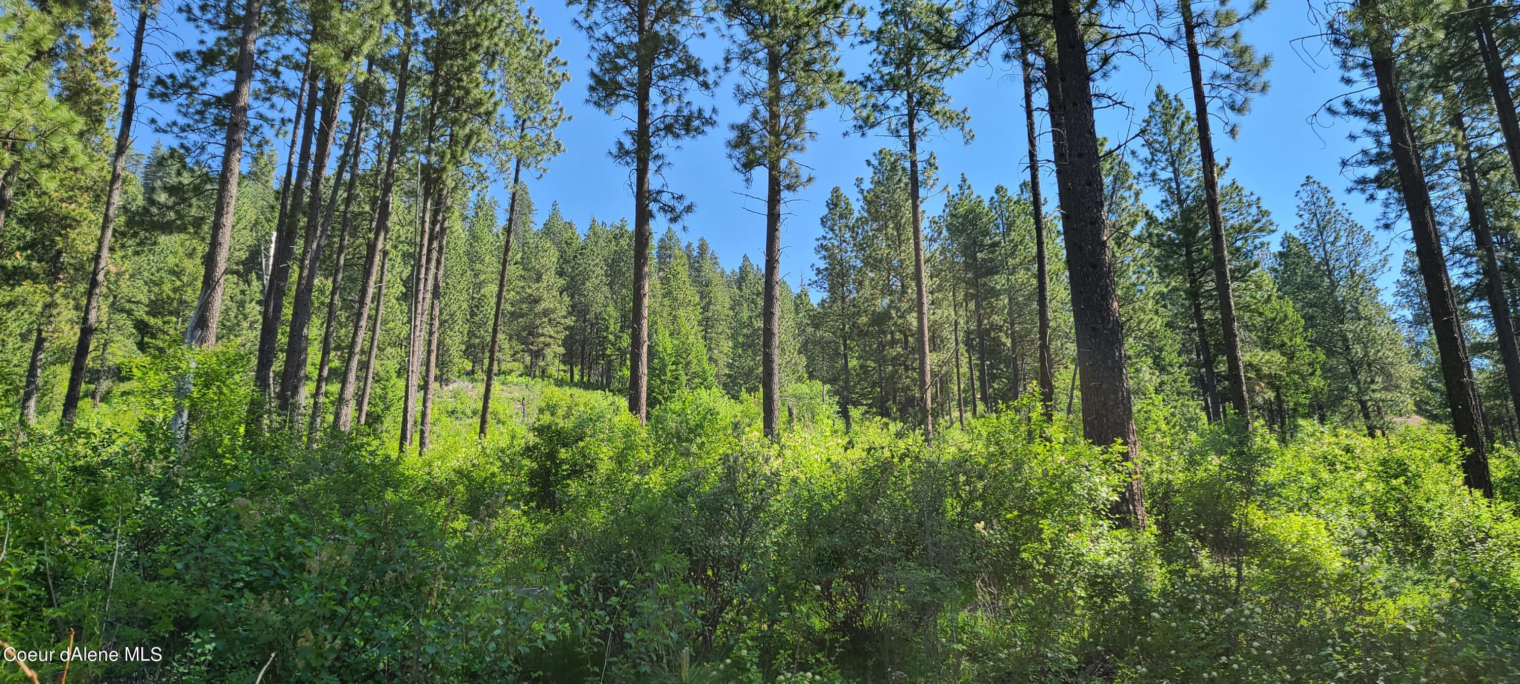 Image 3: 20210603_100605