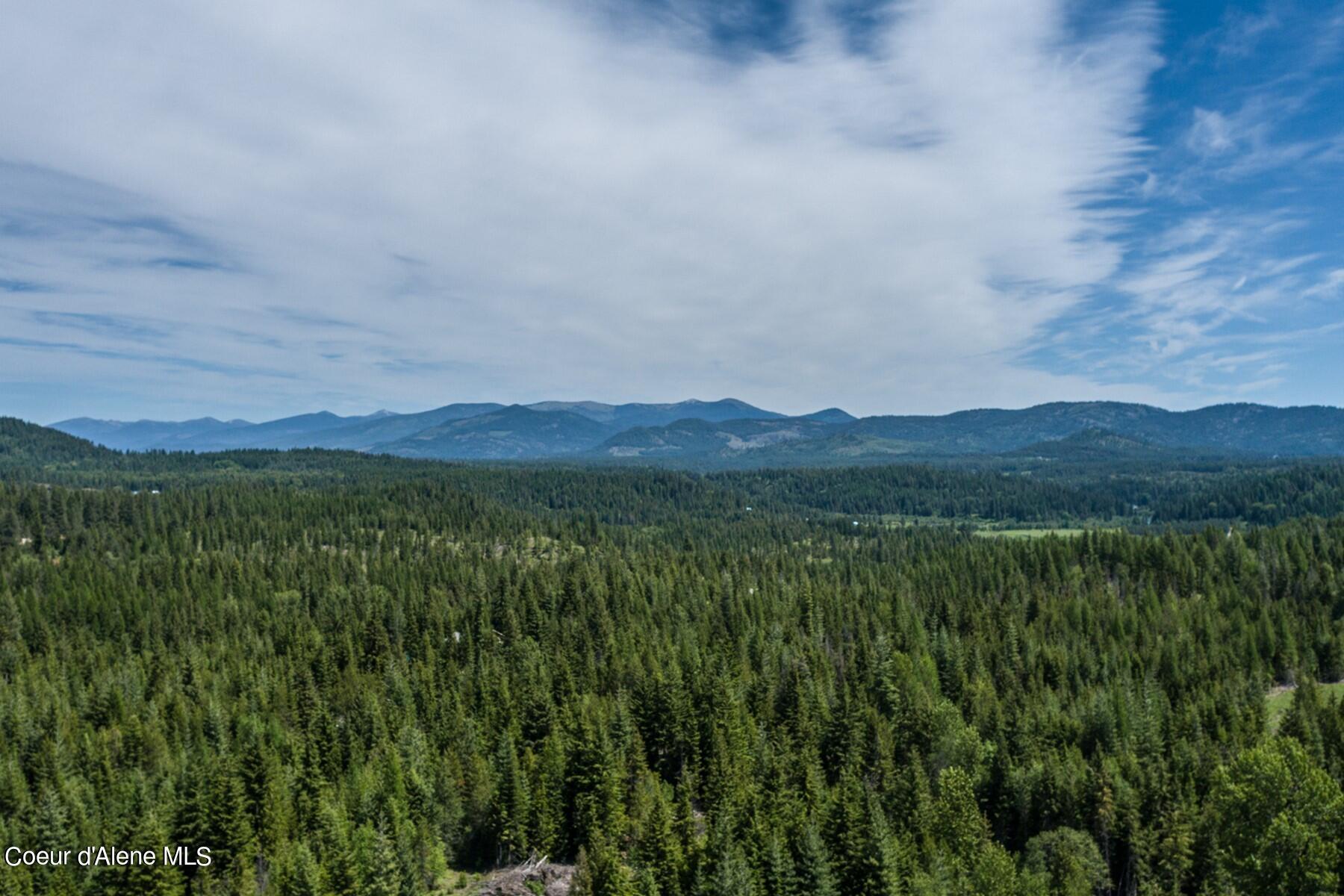 Image 3: Slippery Slope