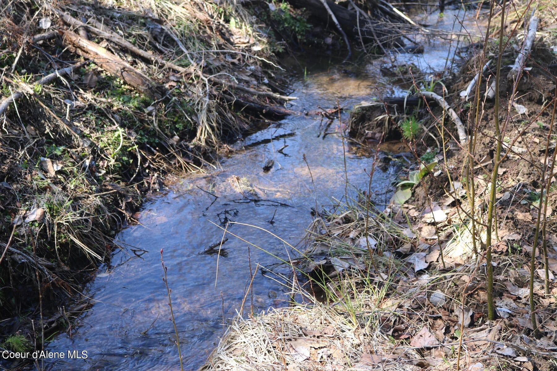 Image 4: 2+ Year Round Streams