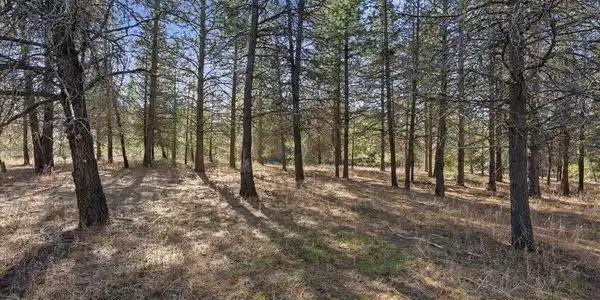 33482 N Charlotte DR