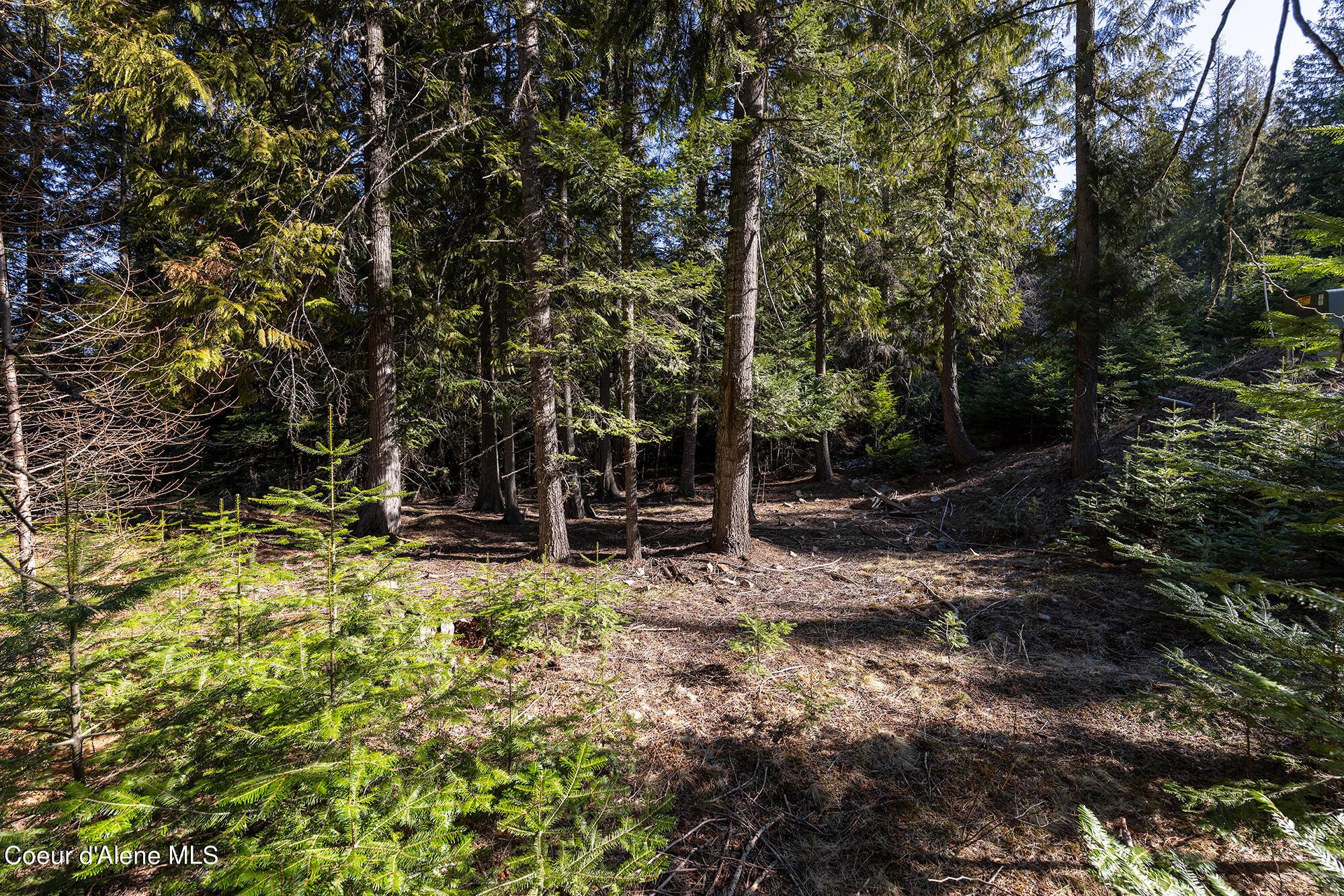 Image 4: 04