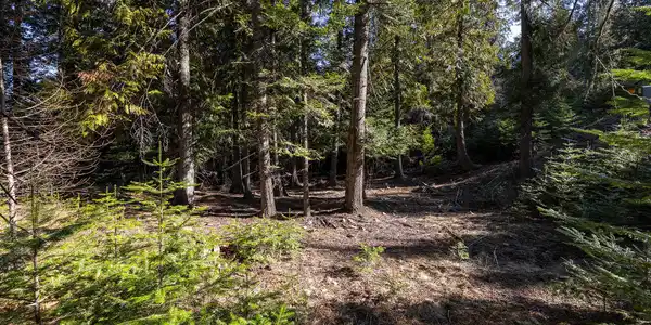 Image 4: 04