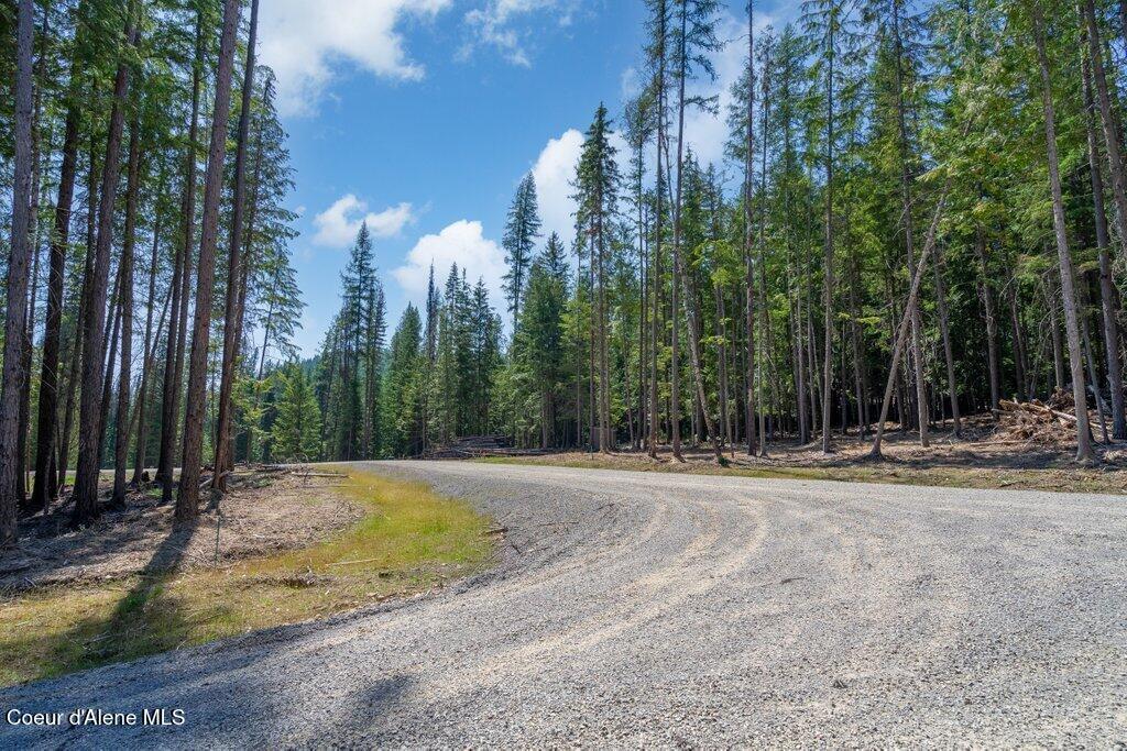 Image 4: 015-WestPriestLakeShore-ID-83848-SMALL