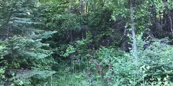 Image 2: Property views