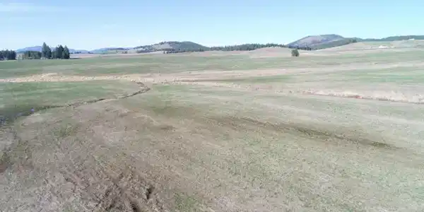 Image 3: DJI_0017