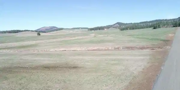 Image 4: DJI_0018
