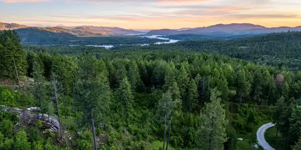 Image 3: mls_DJI_0573
