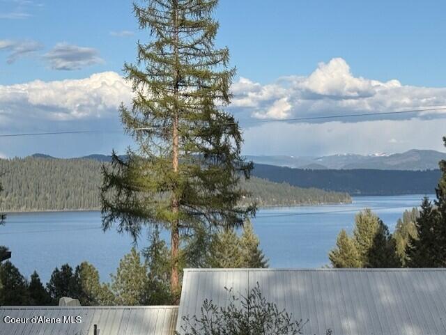 Image 4: 22383 S. Carroll Dr (4)