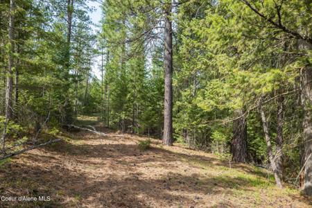 NKA Wilderness Rd