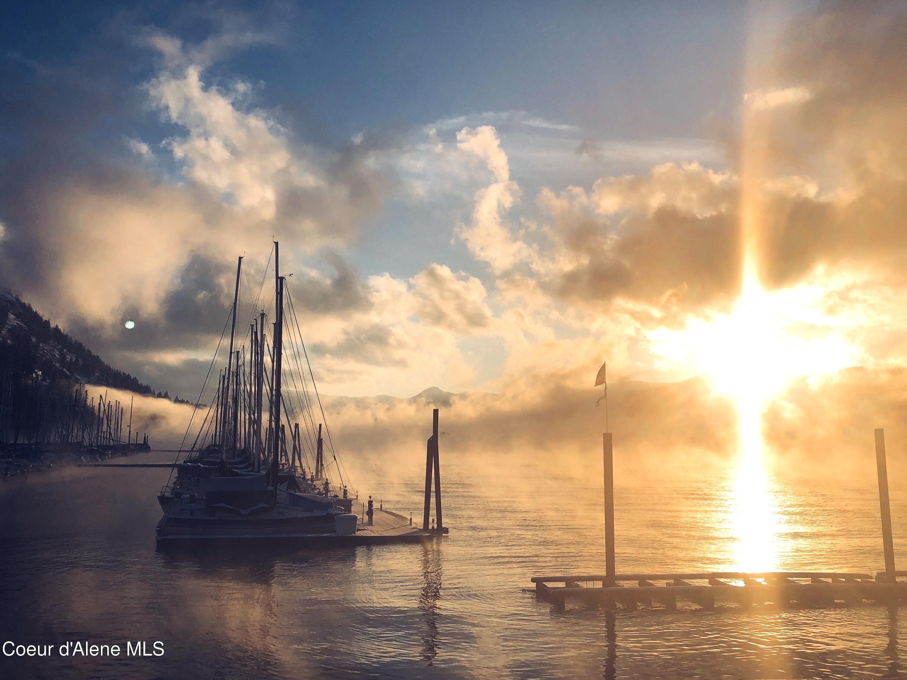 Image 3: Morning shadows