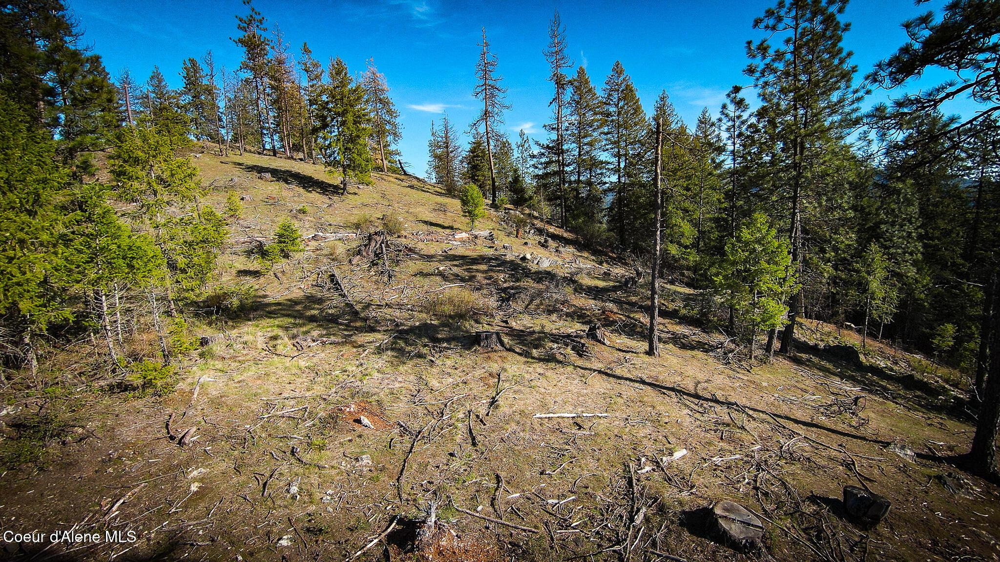 Image 2: DJI_0252