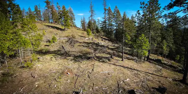 Image 2: DJI_0252