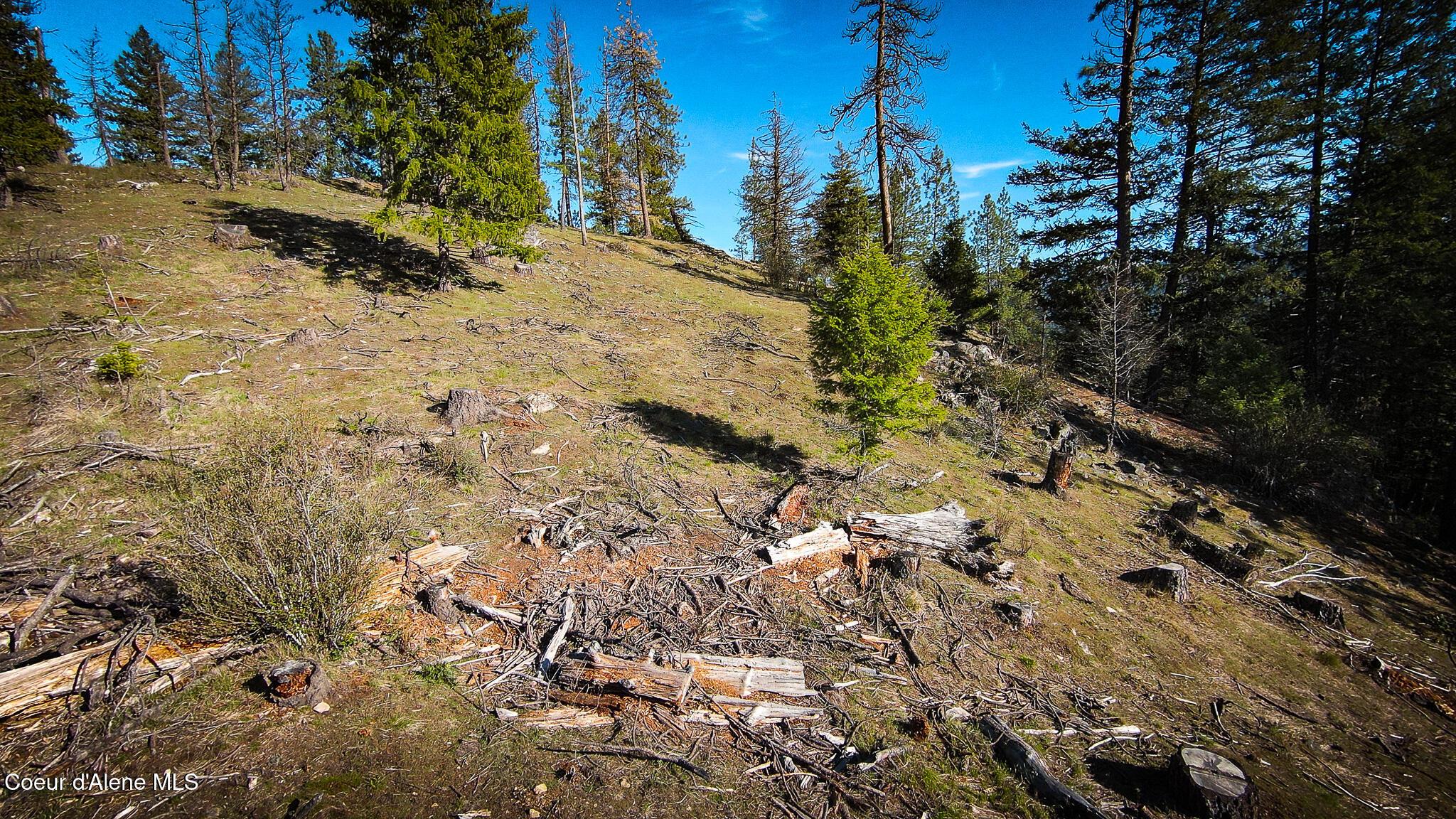 Image 3: DJI_0253