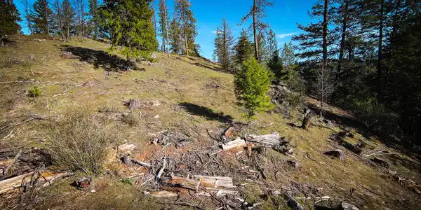 Image 3: DJI_0253