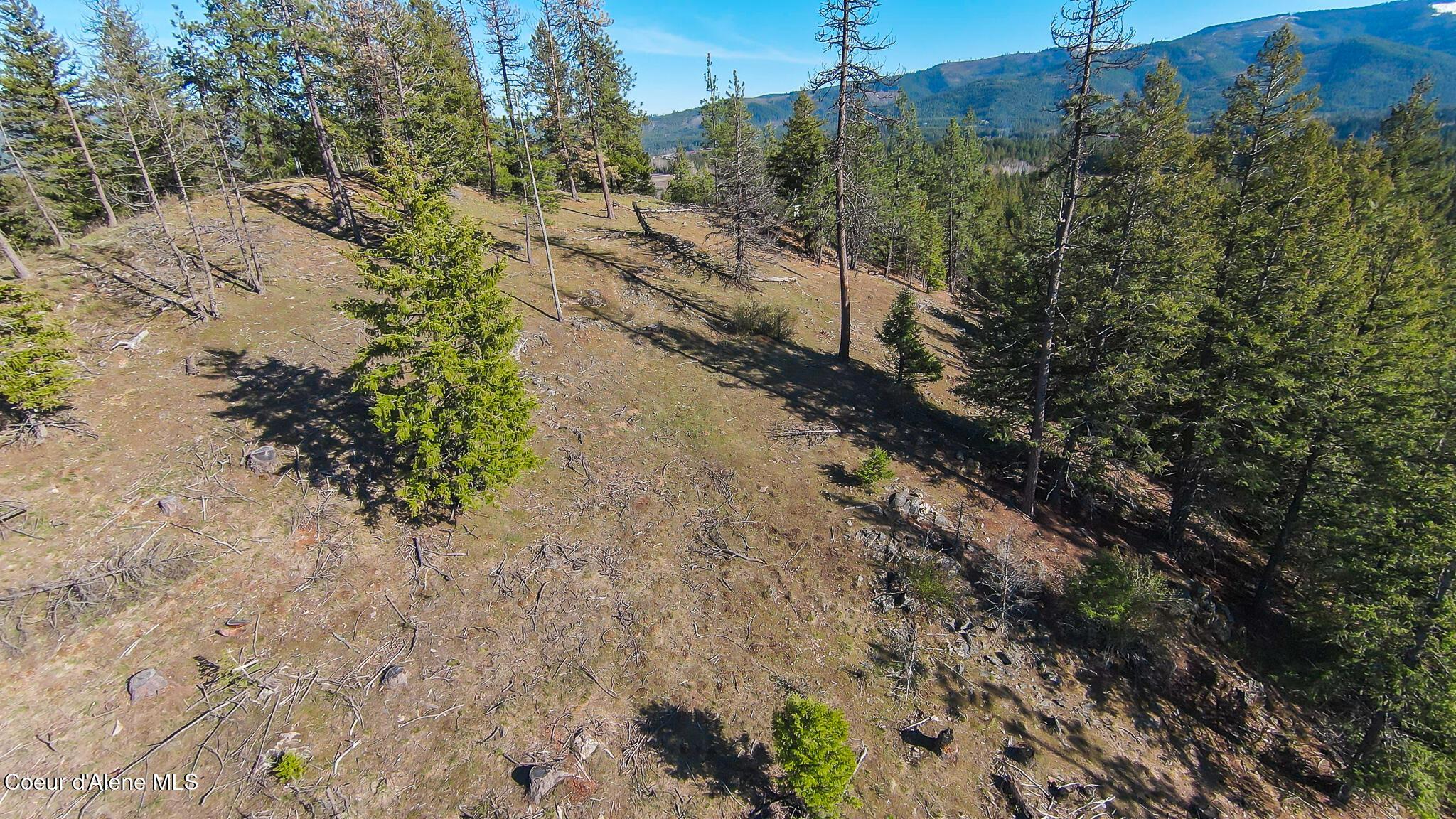 Image 4: DJI_0254