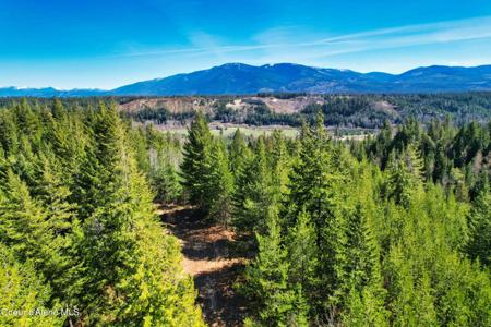 NNA 20 acres Juniper Ln