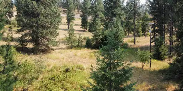 Image 3: dji_fly_20260811_143258_322_178666669440