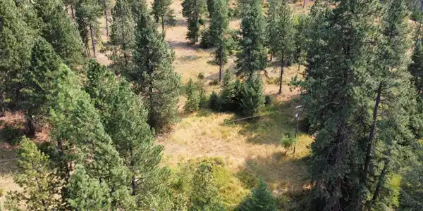 Image 4: dji_fly_20260811_142310_309_178666673659