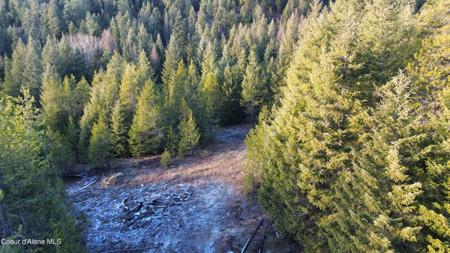 L6 B1 KELSO WOODS DR