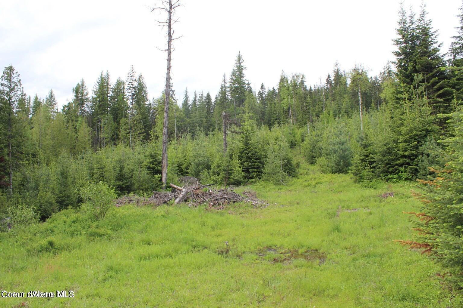 Image 3: 20221017185625219779000000-o