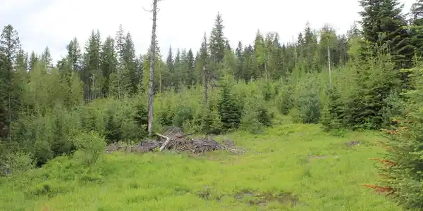 Image 3: 20221017185625219779000000-o