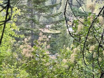 .29 Acres Hinds Dr