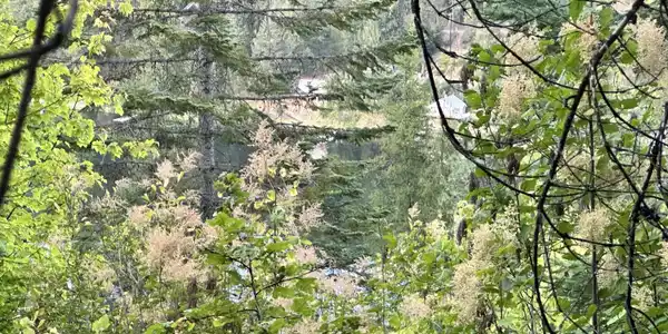 .29 Acres Hinds Dr