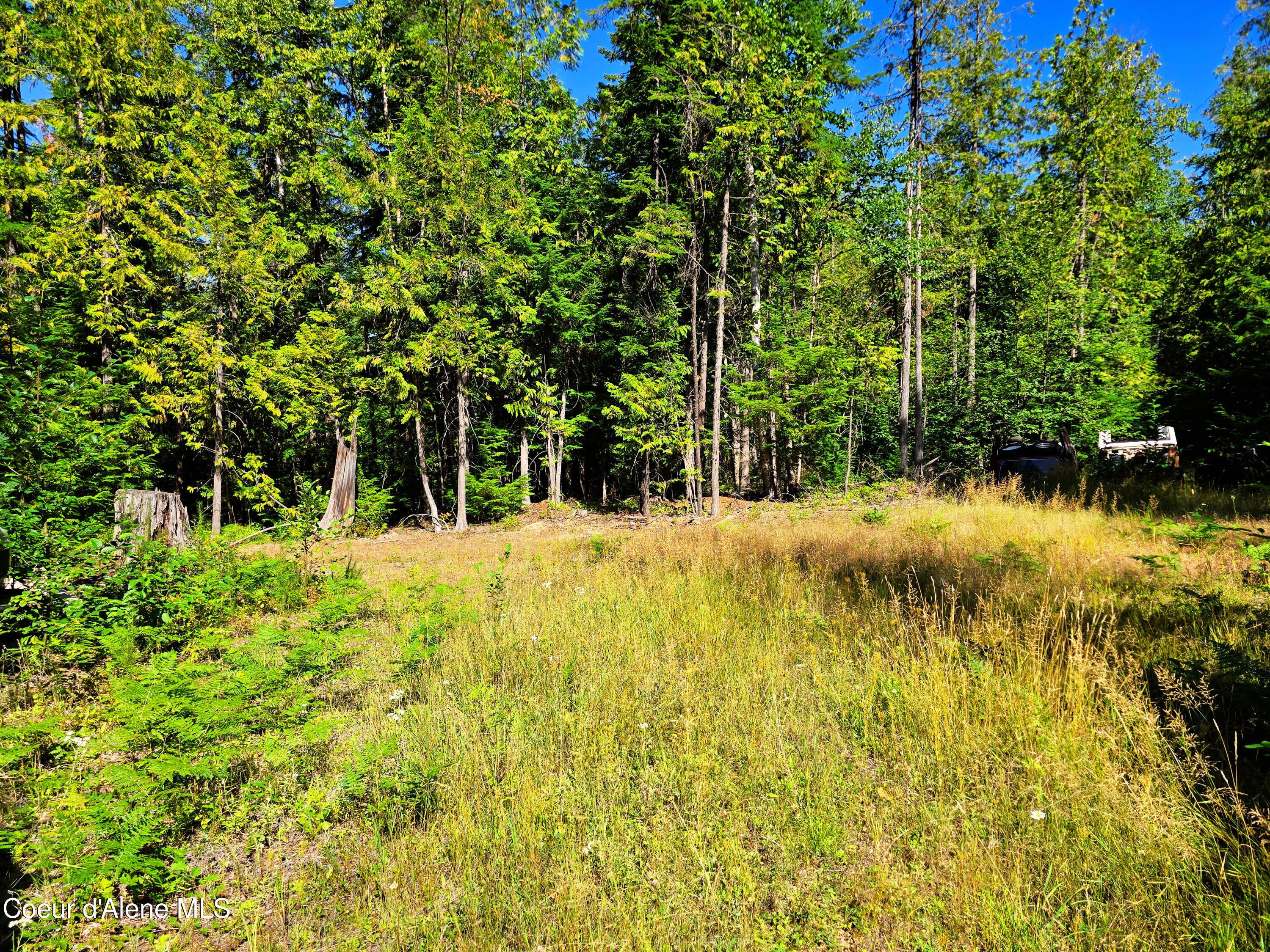 Image 3: 03