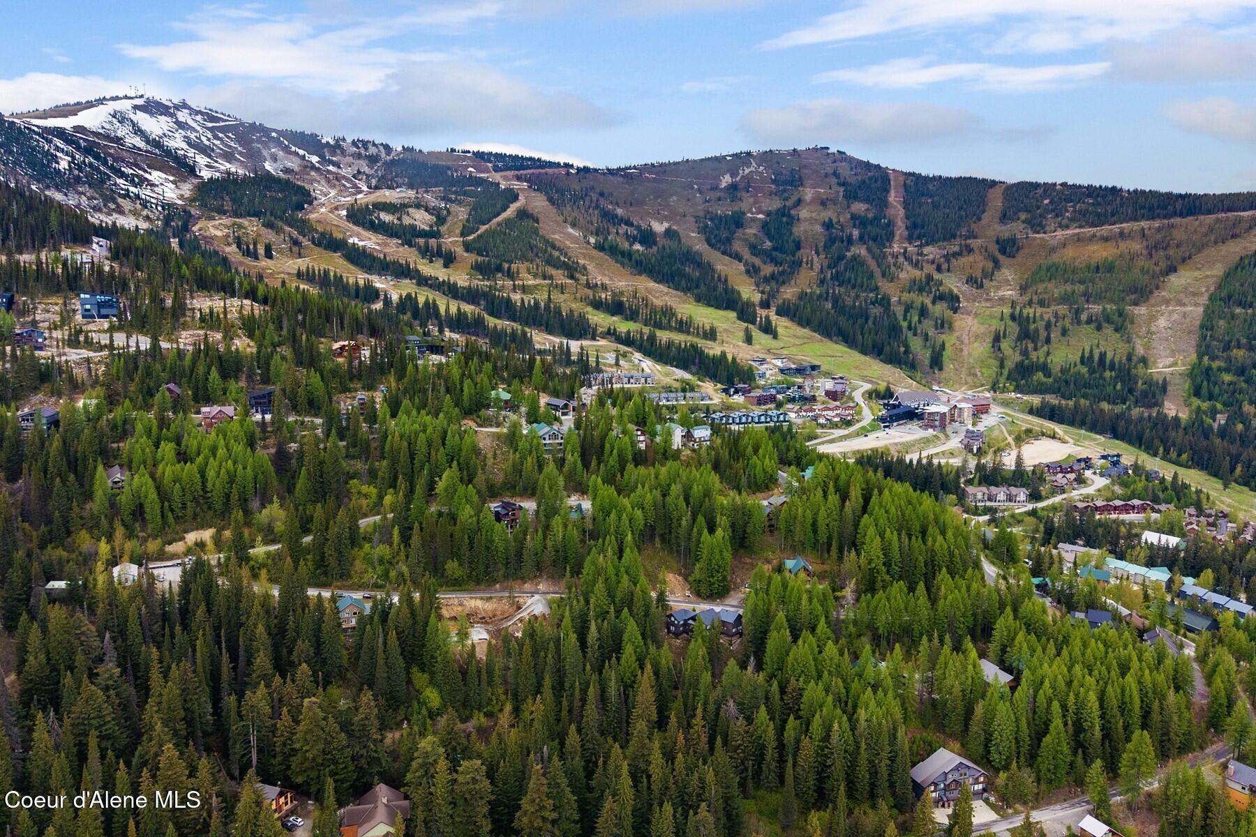 Image 1: Schweitzer Aerial