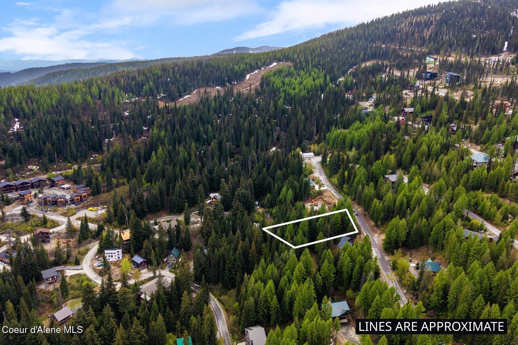 Image 2: Schweitzer Aerial