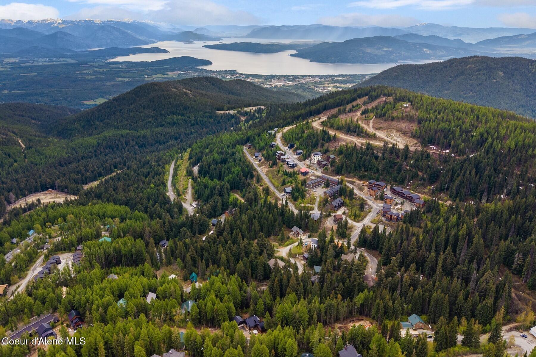 Image 3: Schweitzer Aerial