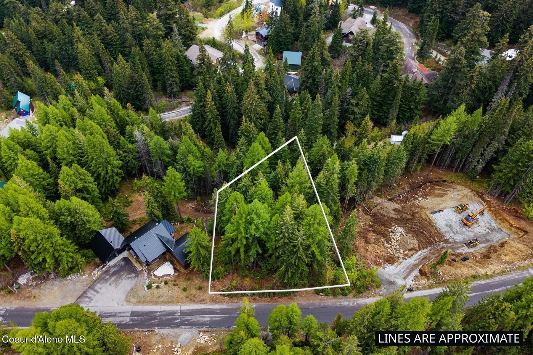 Image 4: Schweitzer Aerial