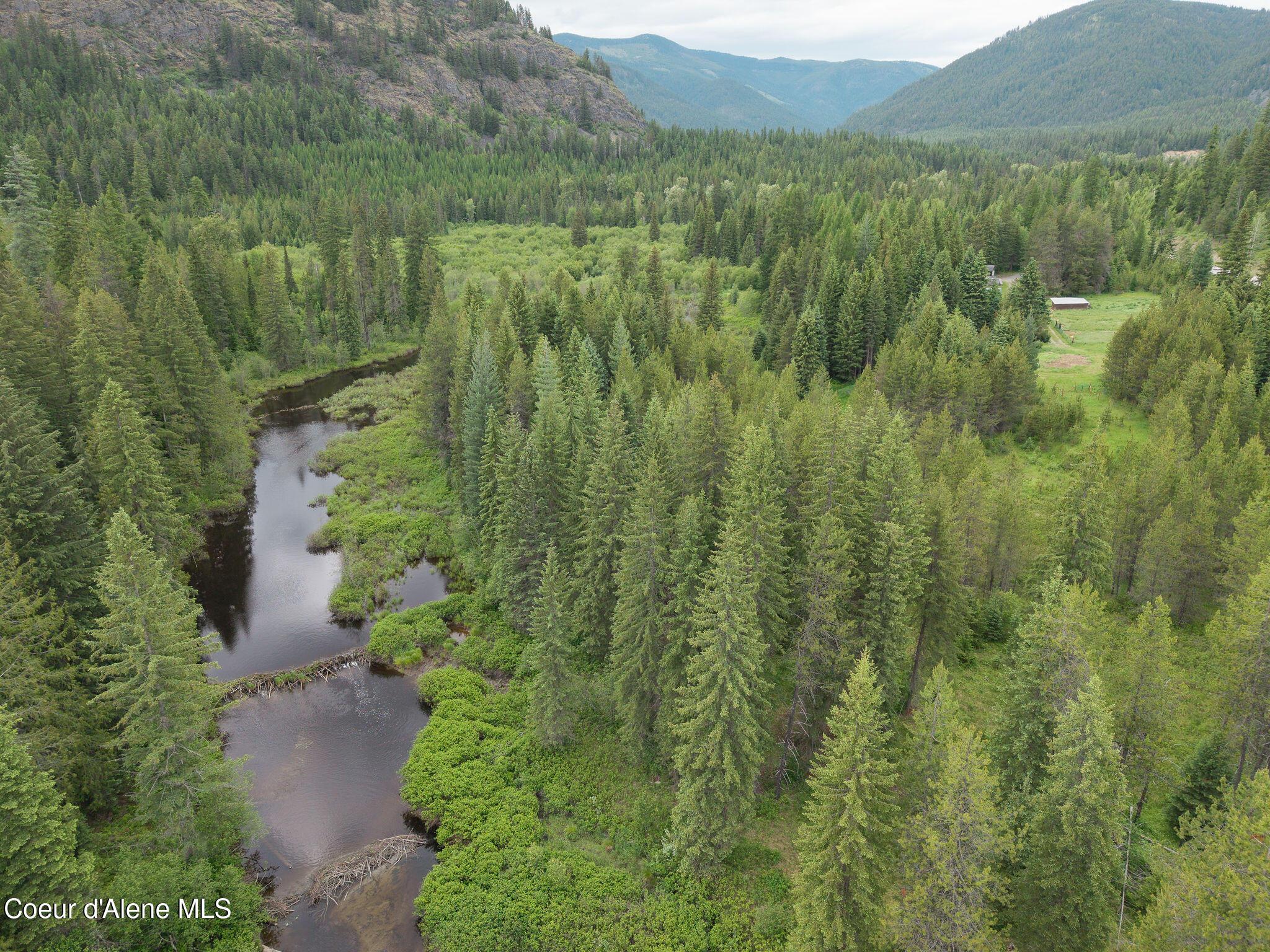 Image 1: 155 Acres with Creek and Mountain
