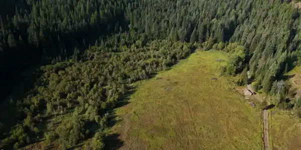 Image 3: Copy of dji_fly_20250917_092158_0010_175