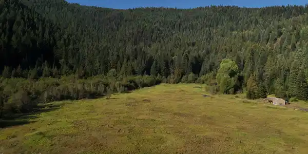 Image 4: Copy of dji_fly_20250917_092318_0017_175