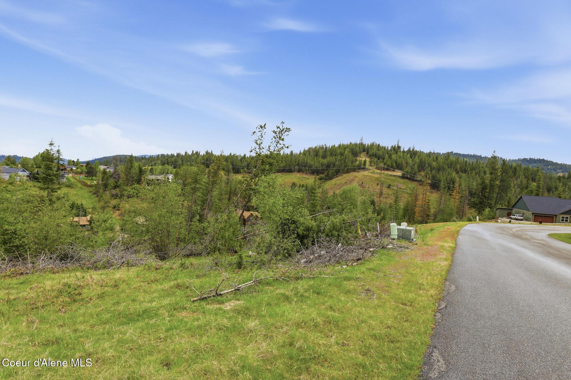 Image 2: 2_120 blazing saddle ct