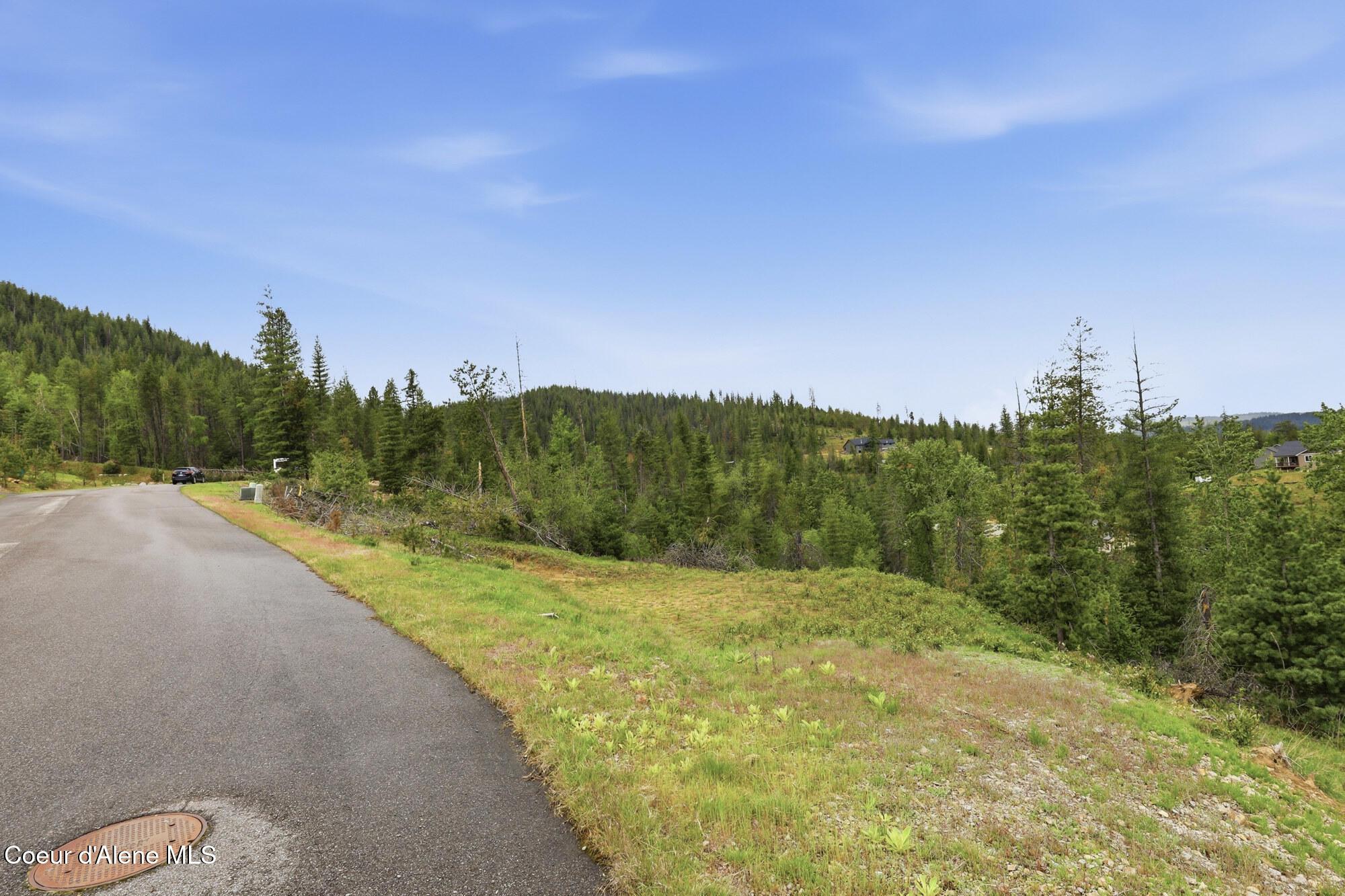 Image 3: 3_120 blazing saddle ct (1)