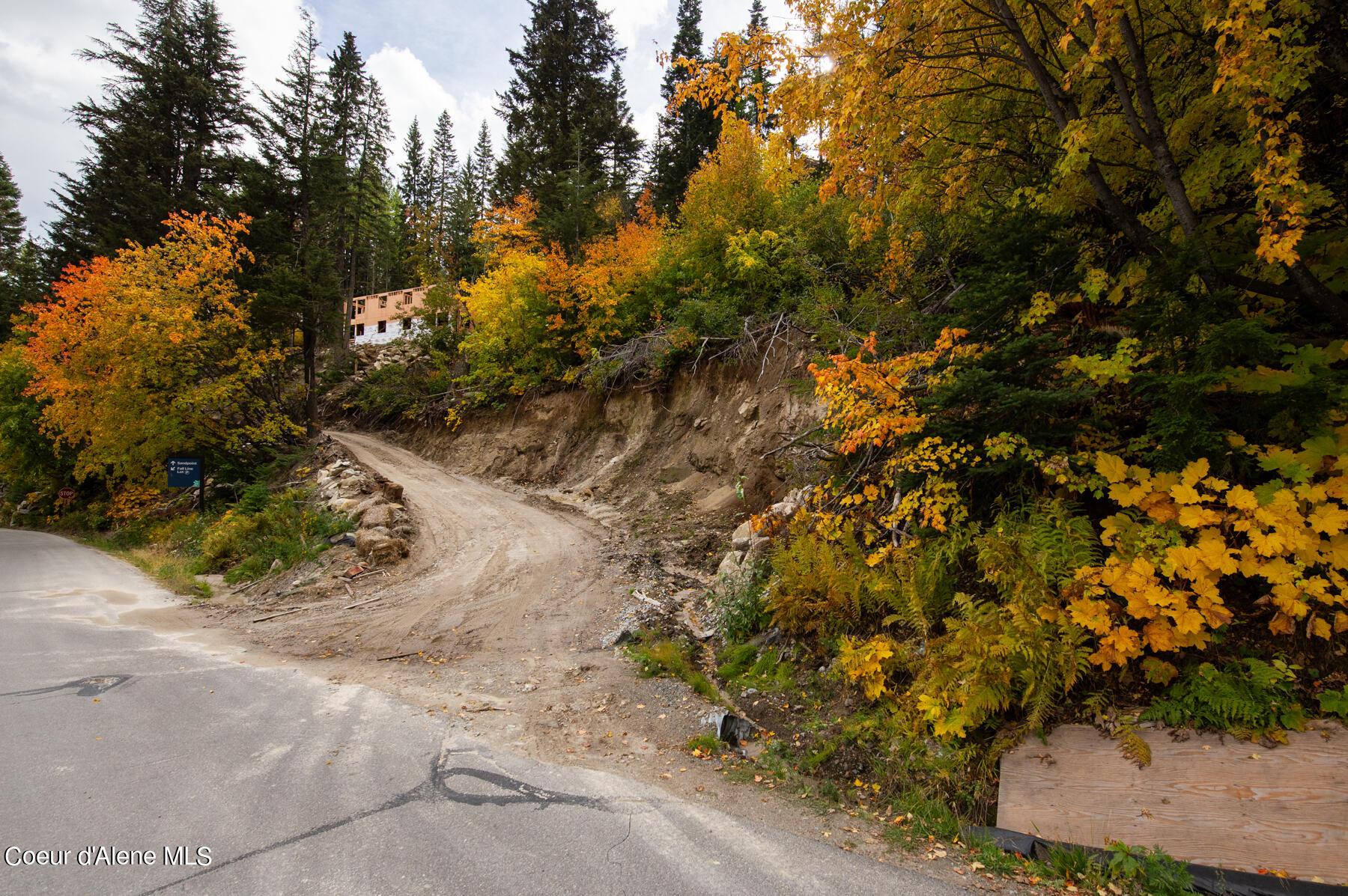 Image 4: Schweitzerlot_Onground-1